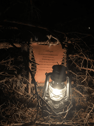 Scout activity